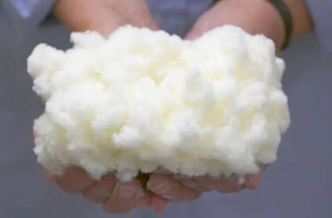 Se espera que el mercado mundial de pulpa de madera alcance los USD 89.142 millones en 2029